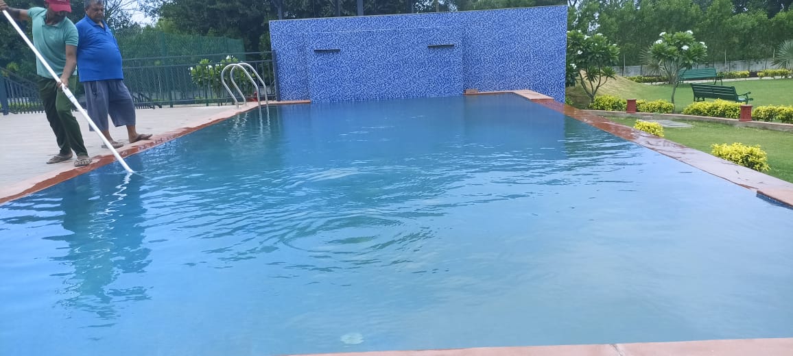 Modern Rectangular Pool