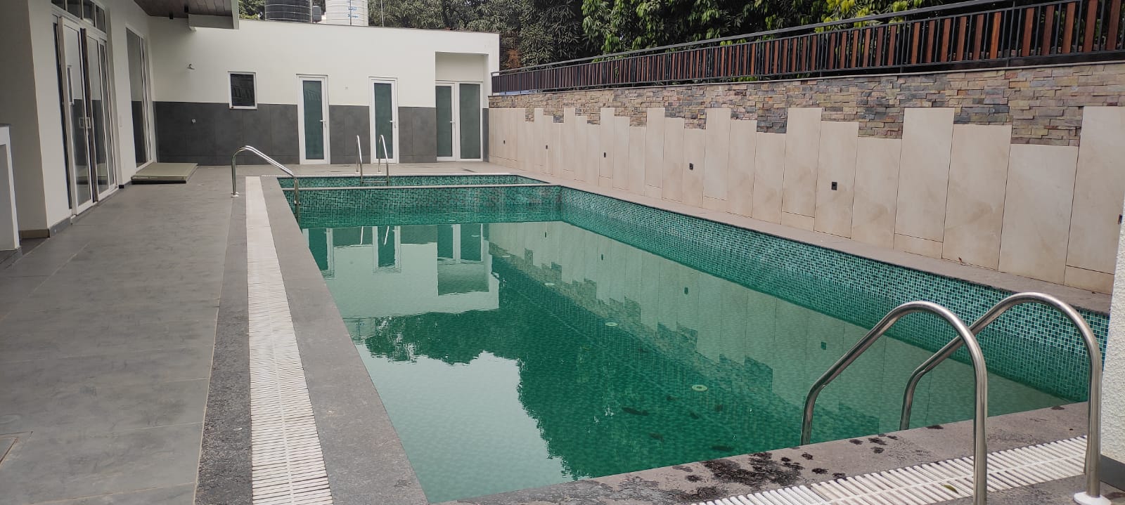 Natural Pool Design
